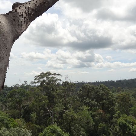 Samboja Lodge バリックパパン エクステリア 写真