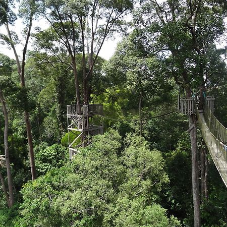 Samboja Lodge バリックパパン エクステリア 写真