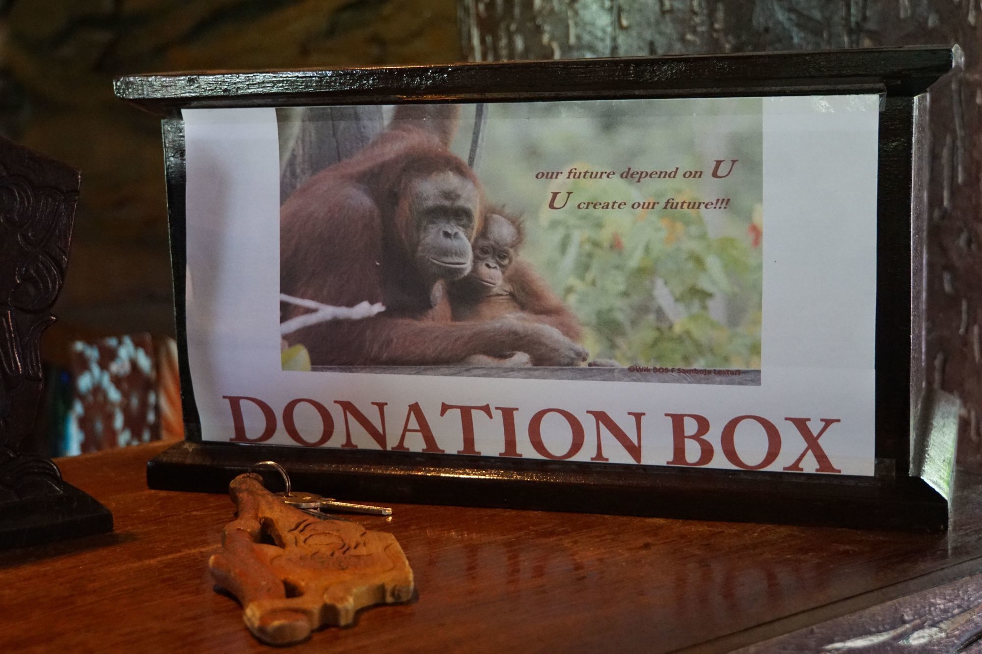 Samboja Lodge バリックパパン エクステリア 写真