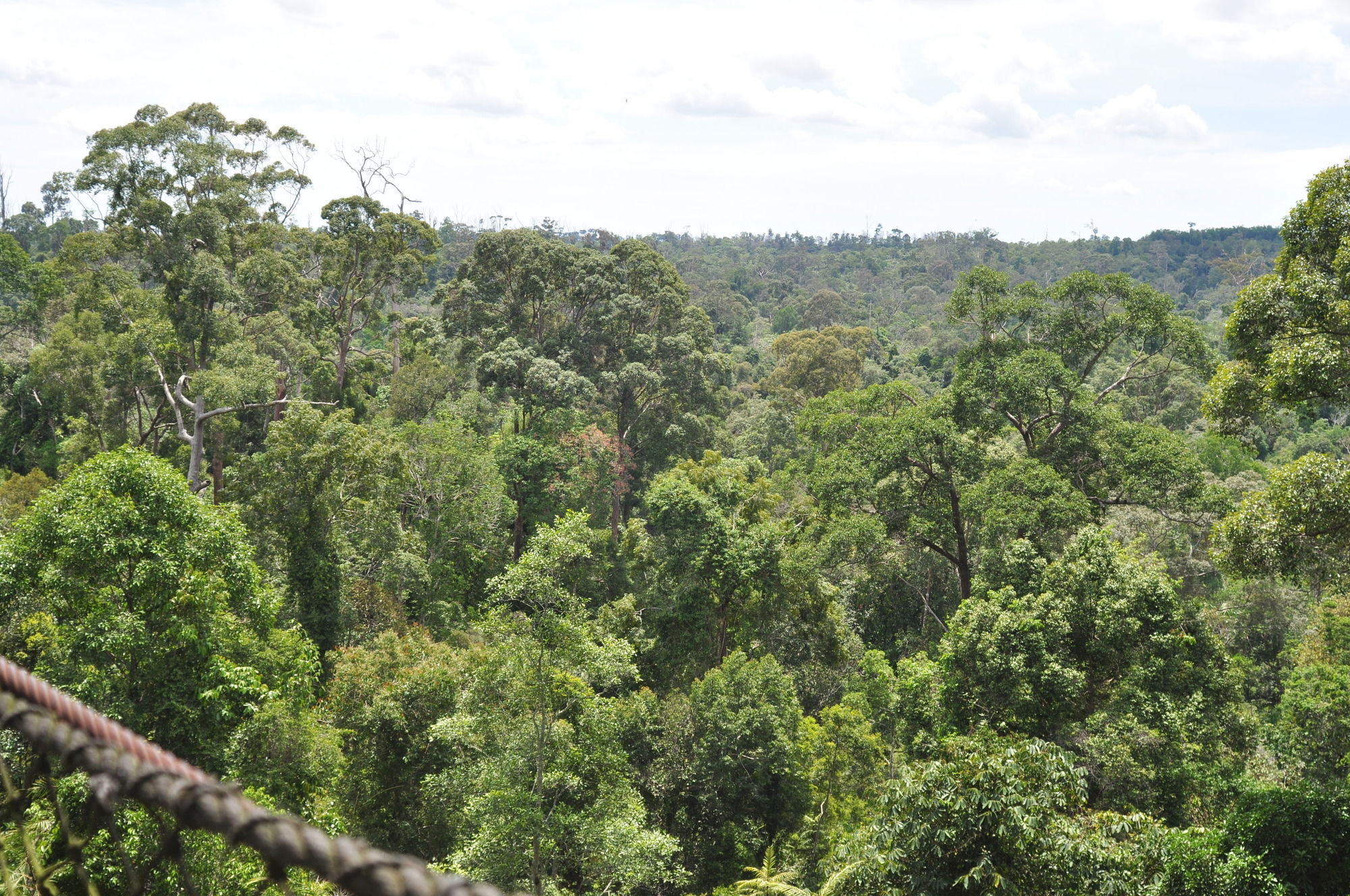 Samboja Lodge バリックパパン エクステリア 写真