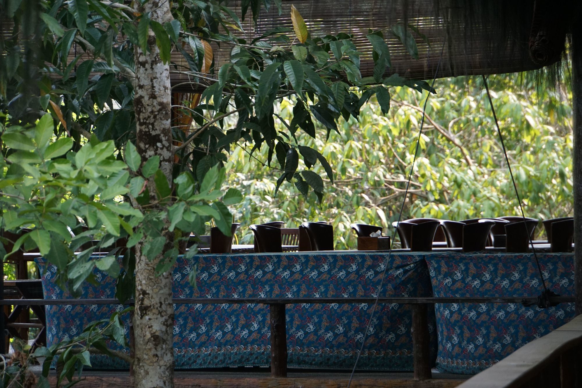 Samboja Lodge バリックパパン エクステリア 写真