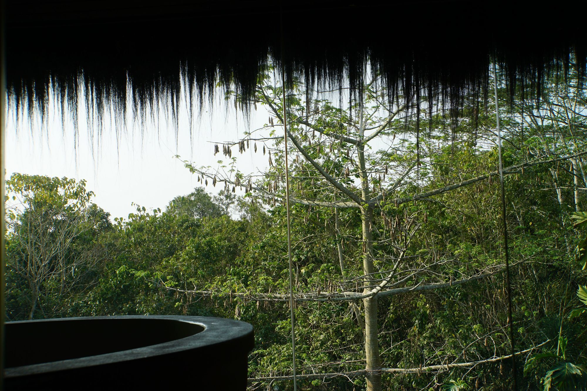Samboja Lodge バリックパパン エクステリア 写真