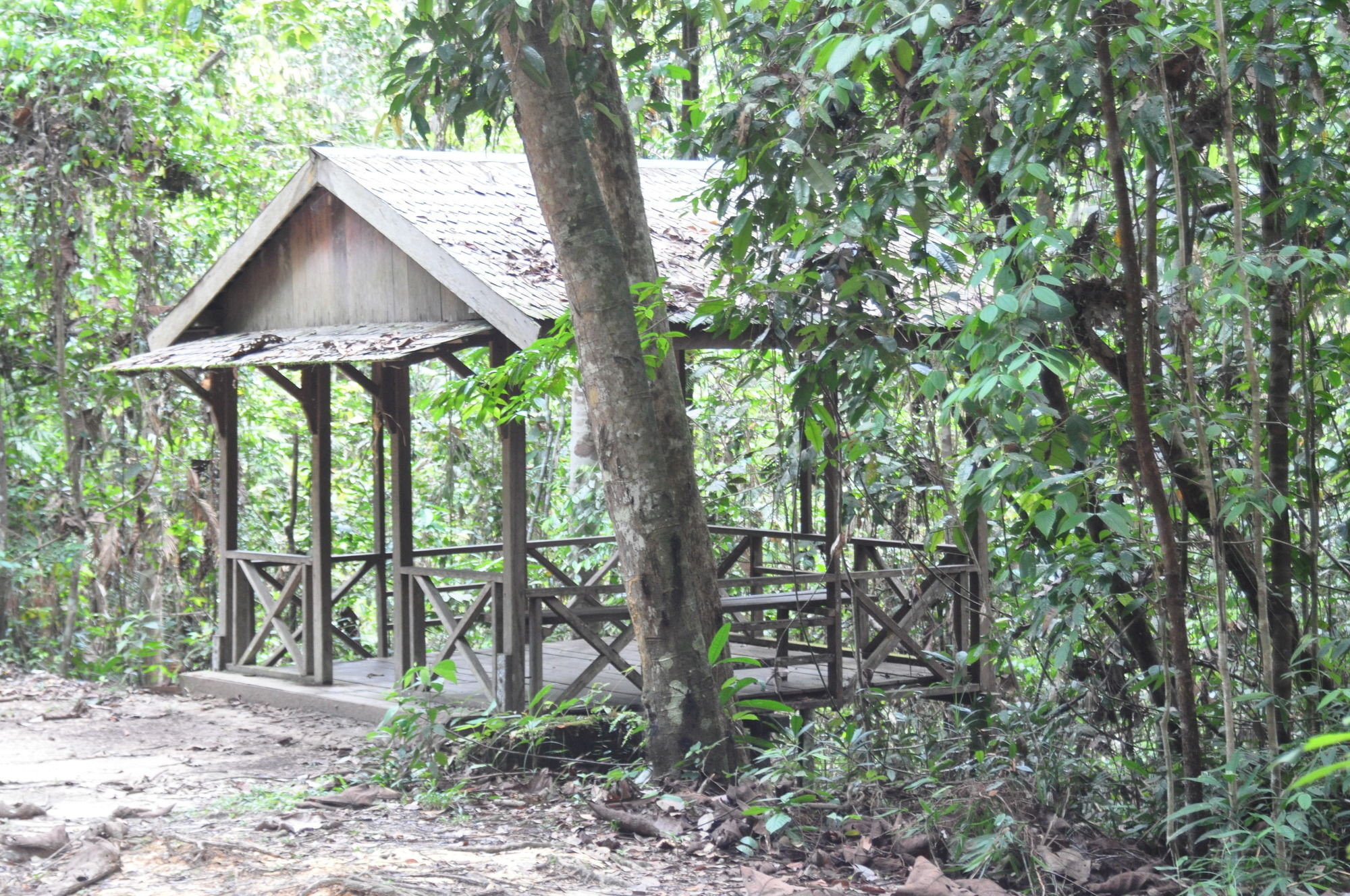 Samboja Lodge バリックパパン エクステリア 写真