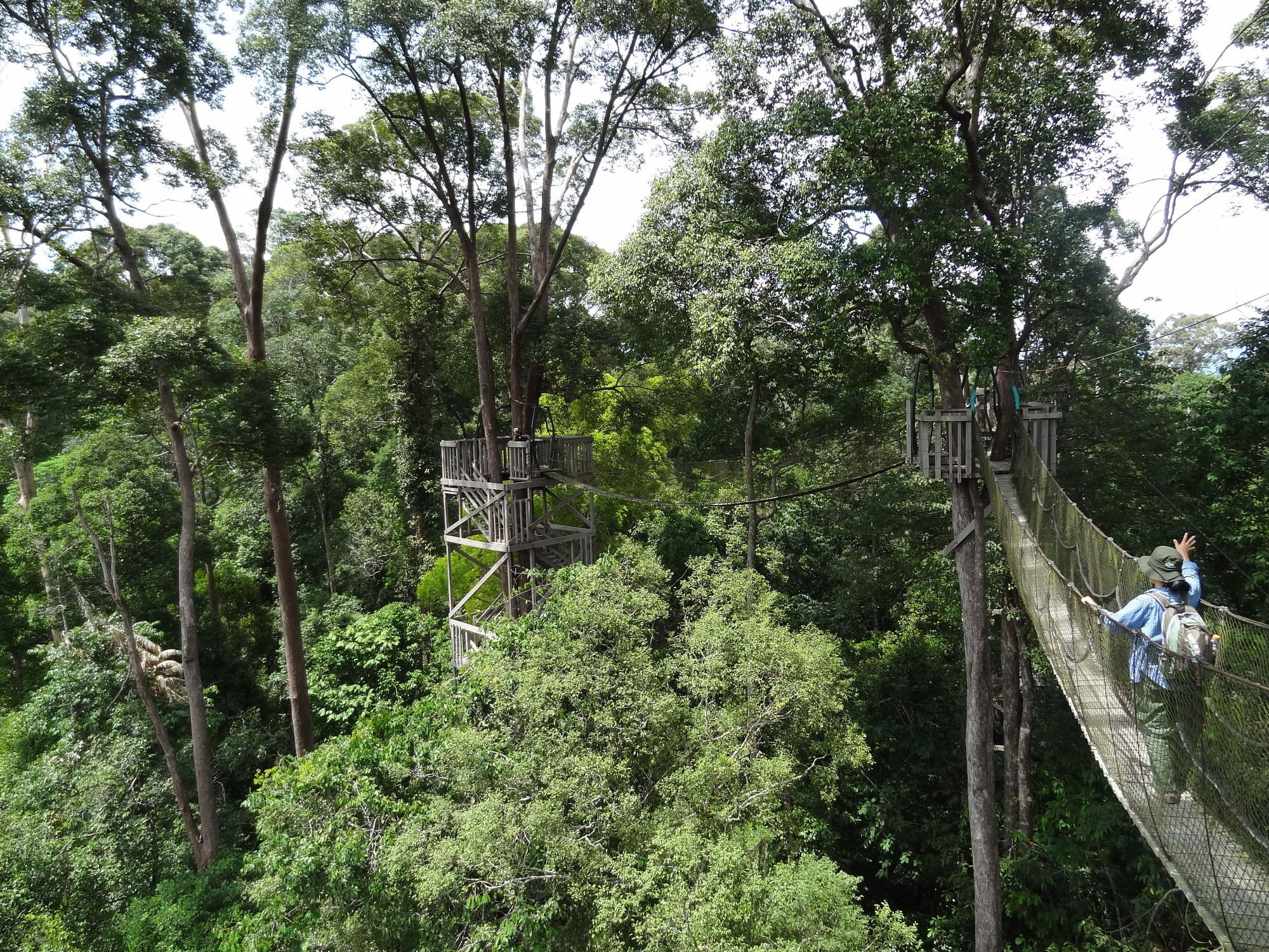 Samboja Lodge バリックパパン エクステリア 写真