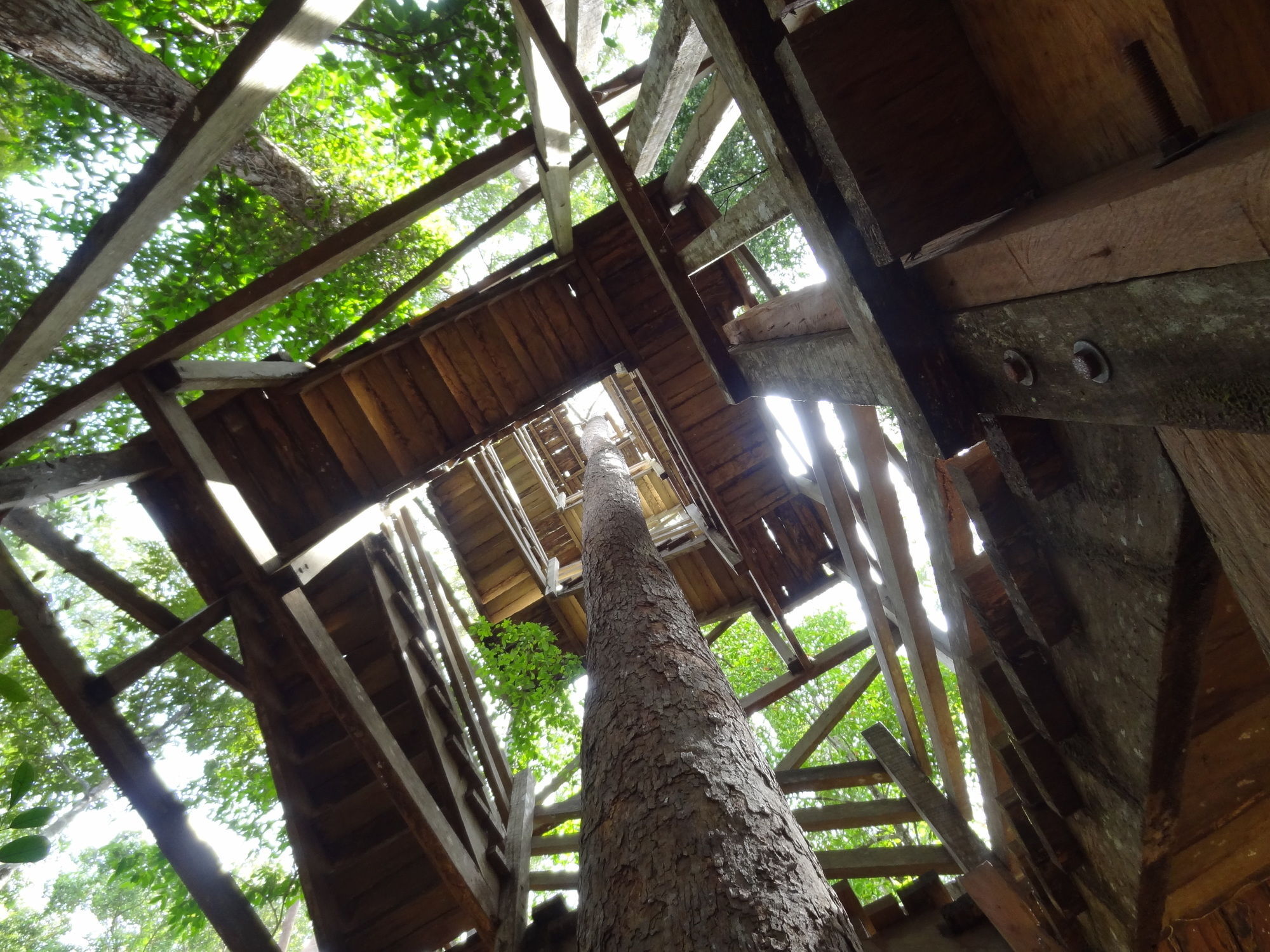 Samboja Lodge バリックパパン エクステリア 写真