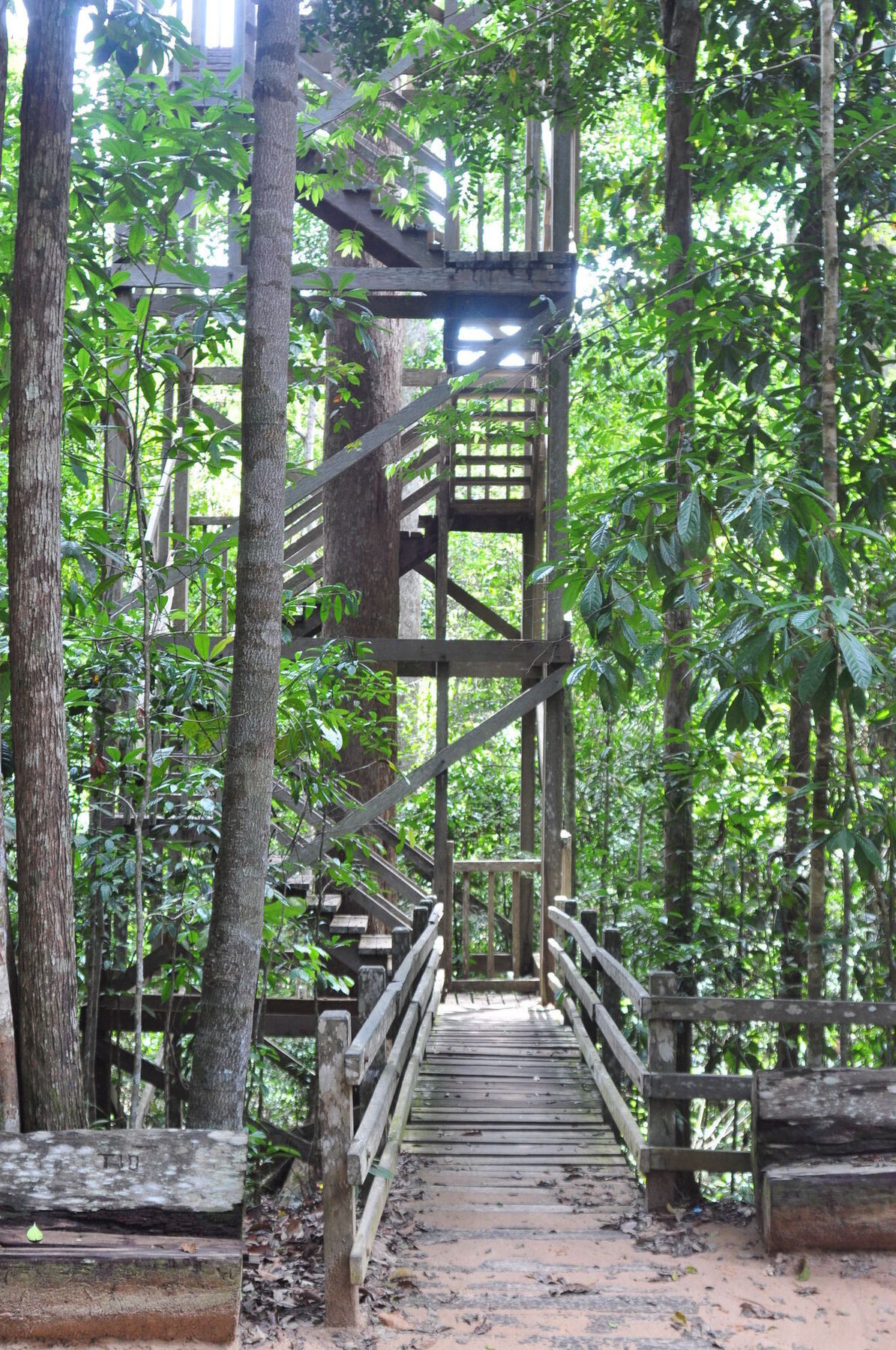 Samboja Lodge バリックパパン エクステリア 写真